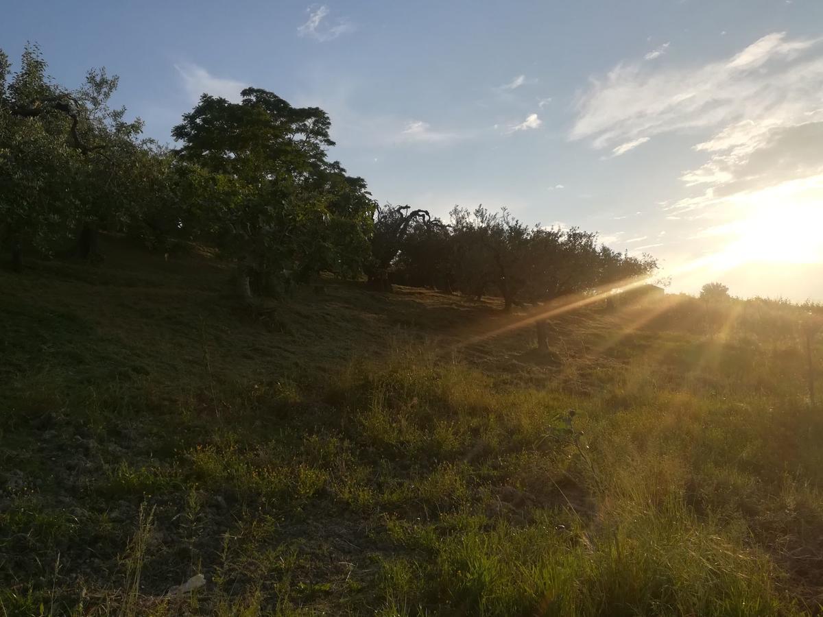 Agriturismo La Ruelle Villa Atessa Eksteriør billede