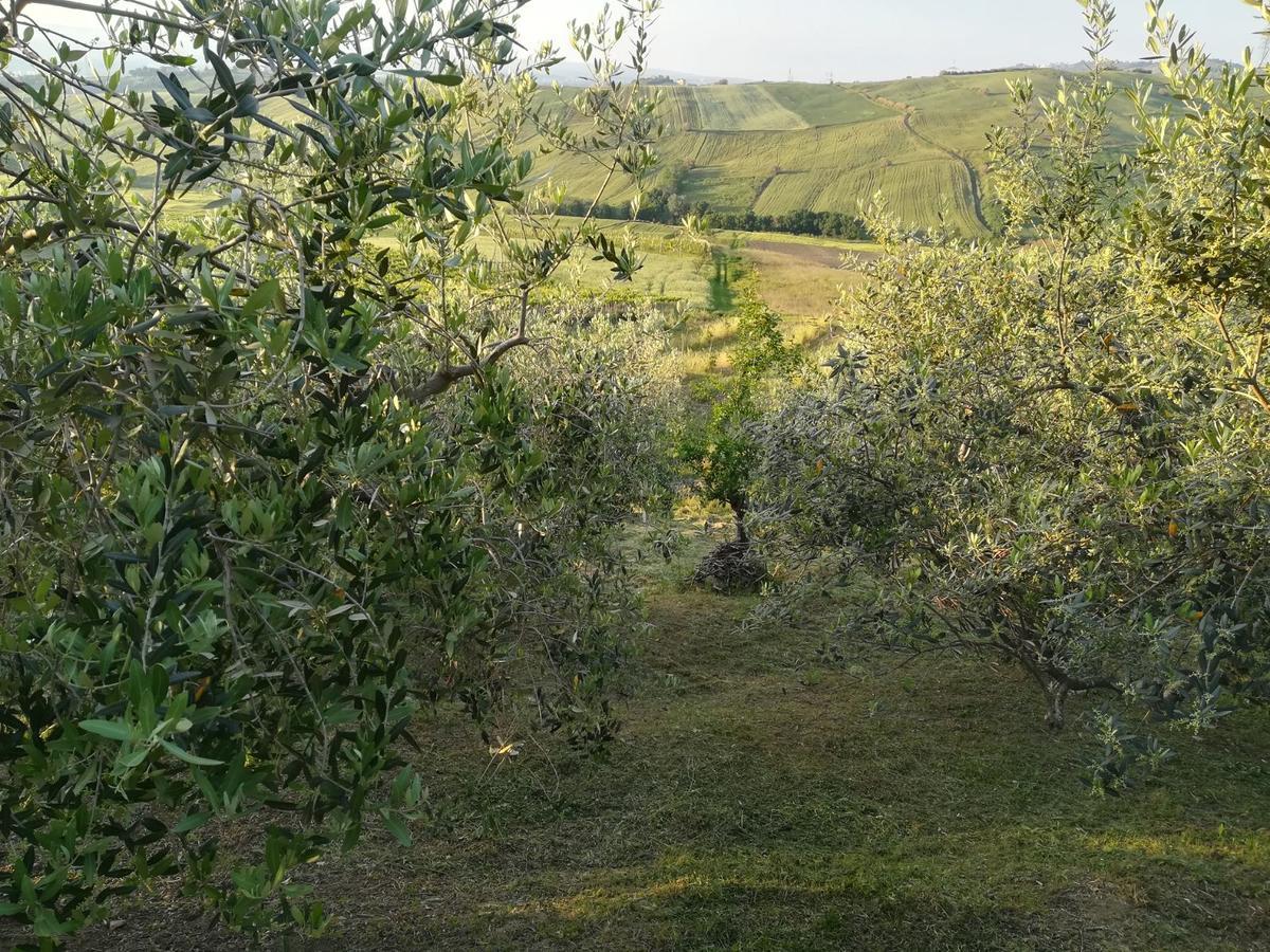 Agriturismo La Ruelle Villa Atessa Eksteriør billede